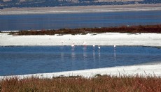 Prof. Dr. Gülle: Bundan sonra bütün göller küçülme trendinde