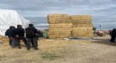 Saman balyasının altında kalıp öldü