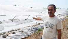 Serik'te fırtına ve sağanakta seralar zarar gördü