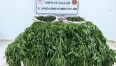 Serik’te uyuşturucu operasyonu: 1 tutuklu