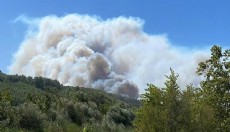Seydikemer'de çıkan yangın, Kaş'ta ormana sıçradı