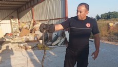 Sıcaklıklar yükseldi, Antalya'da yılan ihbarları arttı