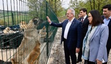 Sokak hayvanlarına 51 ilde doğal yaşam alanları