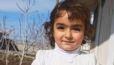 Sokak köpeklerinin saldırısına uğrayan Nazlı, ağır yaralandı