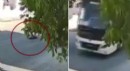 Sokakta yatan köpeği ezip yoluna devam etti