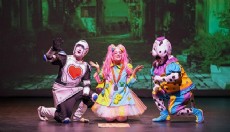 Şubatta perde sanat için açıldı