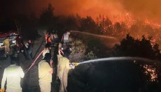 Suriye'deki orman yangını, yeniden sınıra yaklaştı