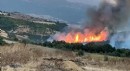 Susurluk'taki orman yangını kontrol altına alındı
