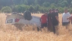 Tarlaya yuvarlanan otomobilin sürücüsü yaralandı