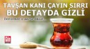 Tavşan kanı çayın sırrı bu detayda gizli