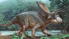 Tayland'da yeni bir dinozor türüne ait kalıntılar bulundu