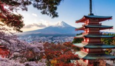 Tokyo - Kyoto - Osaka Rotasıyla Tam Kapsamlı Japonya Turu