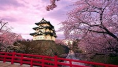 Tokyo’dan Kyoto’ya Uzanan Efsane Japonya Turu Programı