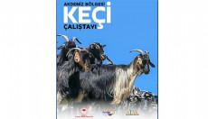 Torosların has ırkı keçi, Antalya'da çalıştayda konuşulacak