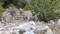 Uçurumda bulunan cesetle ilgili eşi ve oğlu dahil 9 gözaltı