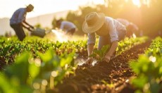 Üre cinsi eşya için gümrük vergileri sıfırlandı