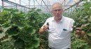 Üreticiler DMD'li Süleyman için seferber oldu