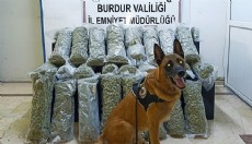 Uyuşturucu operasyonuna 3 tutuklama