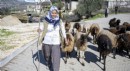 Uzmanından yaylacılara uyarı
