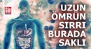 Uzun ömrün sırrı burada saklı