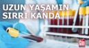 Uzun yaşamın sırrı kanda