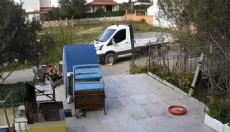 Vahşet anları: Köpeği ısrarla ezerek öldürdü