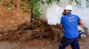 Vektörle mücadele ekipleri bilgi ve deneyimlerini geliştiriyor