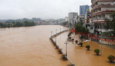 Vietnam'da sel: 10 ölü