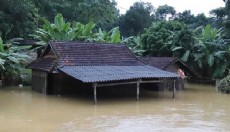 Vietnam'da sel: 8 ölü