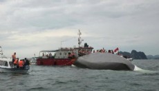 Vietnam'da tur teknesi alabora oldu; 37 ölü