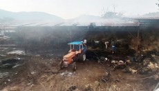 Yangında samanlar yandı, 4 büyükbaş öldü