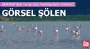 Yarışlı Gölü'ndeki flamingolar hayran bıraktı