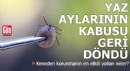 Yaz aylarının kabusu geri döndü! Keneden korunmanın en etkili yolları neler?