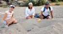 Yerleşik yabancılar deniz kaplumbağalarının koruyucusu oldu