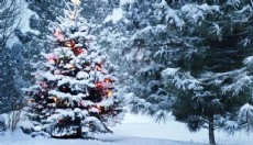 Yılbaşında lapa lapa kar var