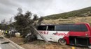 Yolcu otobüsü ağaca çarptı: 11 yaralı