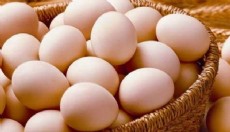Yumurta ihracatına muafiyet düzenlemesi
