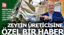 Zeytinyağında üreticileri heyecanlandıracak makine