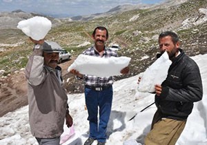 Sıcaktan bunalan Torosların karıyla serinliyor