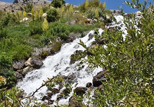 Torosların kutsal suları