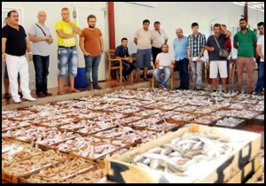 'Trol' sezonu açıldı