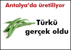 Bu fasulya 7.5 lira!