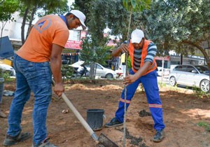 Antalya turunç çiçeği kokacak