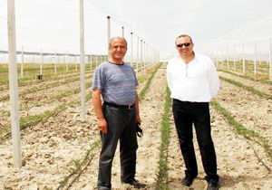 'Tuta'ya karşı 'Tül sera'