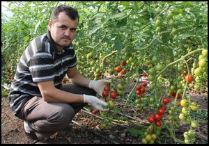 Üretici başka ihracat kapısı istiyor