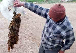 26 metrelik ‘Urgan’ çıktı