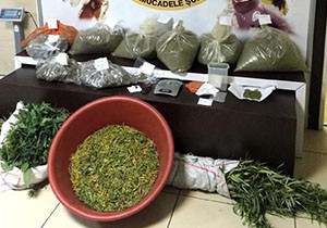 Antalya'da uyuşturucu operasyonu