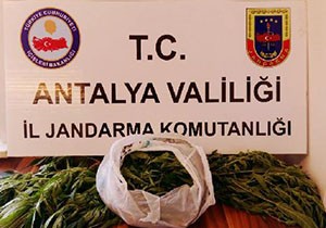 Alanya'da uyuşturucu operasyonu