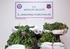 Serik'te uyuşturucu operasyonu