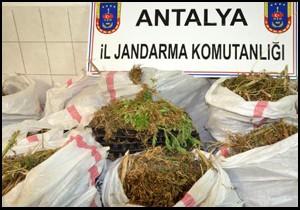 Antalya'da uyuşturucu operasyonu